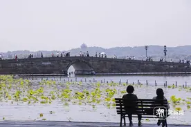 杭州入夏第一天 各处美景陆续上线图片