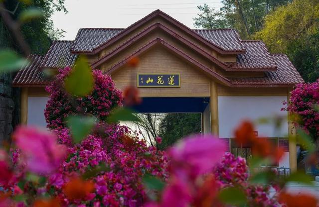纪念抗战胜利80年！优惠已备好，永安抗战旧址邀您打卡，山水间忆峥嵘！