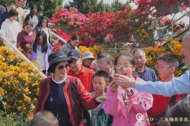 新春走基层 | 踏春赏花露营，三角梅共享农庄黄金周人气旺图片
