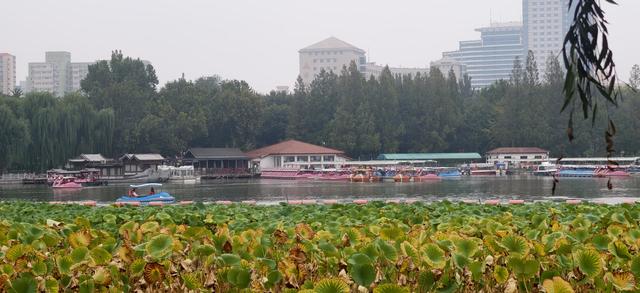 玉渊潭公园秋意正浓，美景如画
