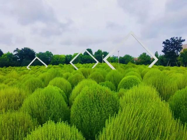 宁波植物园免费入园！