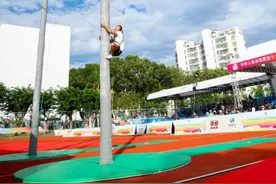 椰子树上的“速度与激情”图片