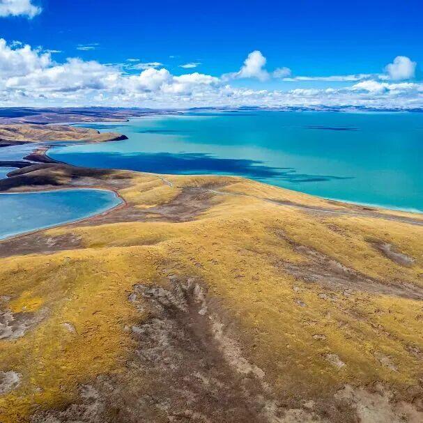 历时一年半，终于可以免费了