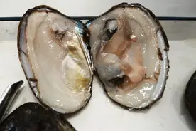 开蚌取珠，临港五校“年夜饭”有年味更有海味，“两海两电一桥”中外学子团圆图片