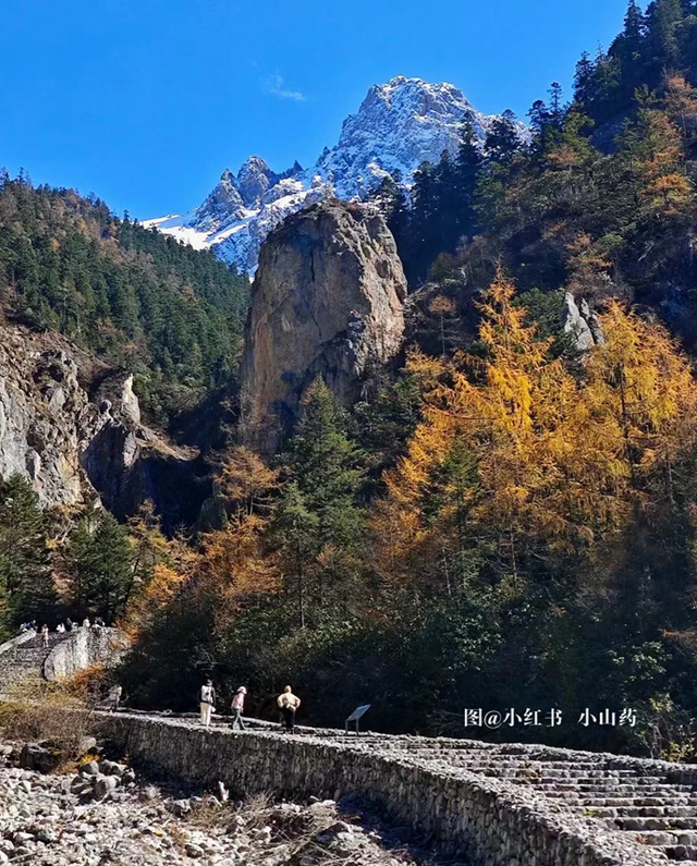 青睐绵阳 ‖ 雪山彩林上线！去平武王朗赴一场金秋视觉盛宴~