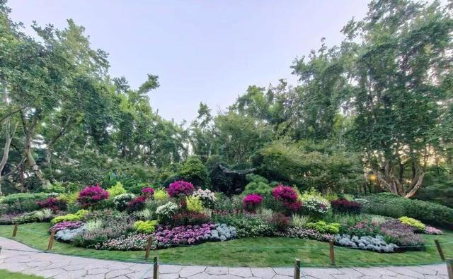 西湖“花漾”盛宴已就位！33处花境等你国庆假期来打卡