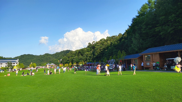 “双节”洛阳文旅放大招！免票、半价、折扣齐上阵