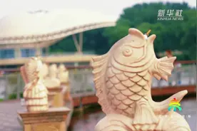 走进亮马河“国际风情水岸”图片