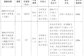河北拟发行205.04亿元地方债，7月26日招标图片