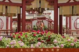 牡丹花卖爆！牡丹游热销！《国色芳华》热播带火多地文旅产业图片