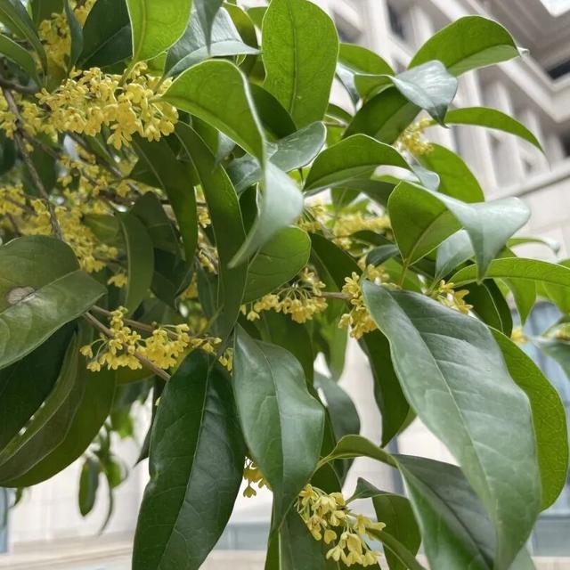 趁秋色浪漫，见一面吧