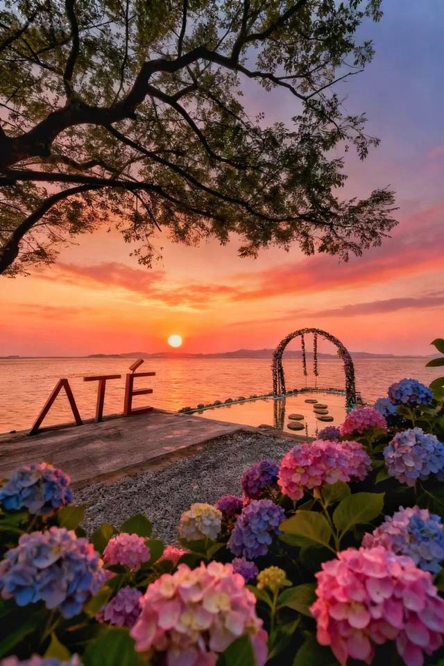 万只候鸟飞抵太湖！吴中东山“观鸟经济”藏不住了