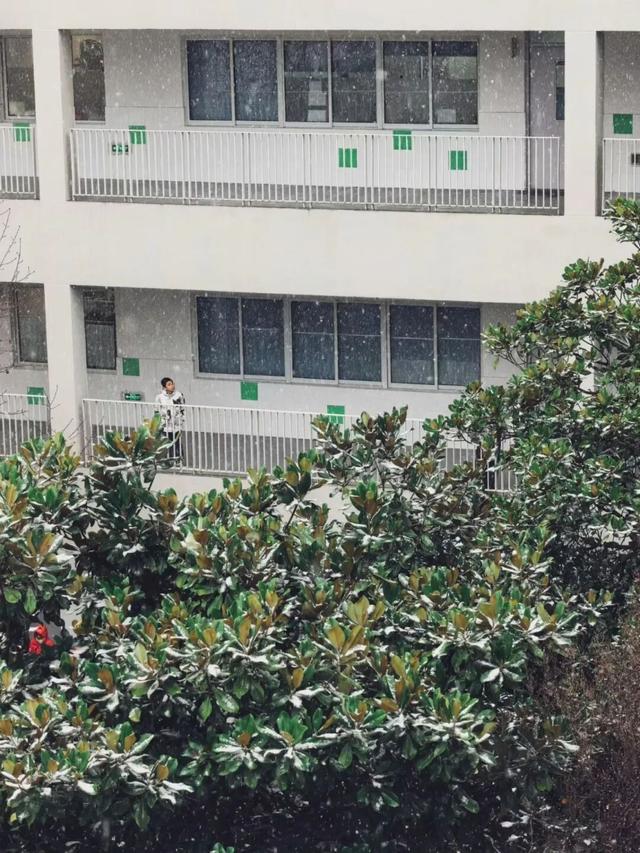 定格浪漫！吴江初雪美景图鉴！