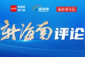 从一缕椰香，看海南农产品发展的新赛道图片