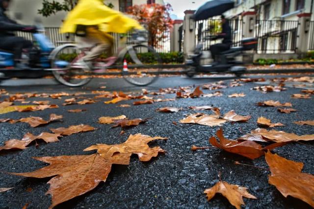 秋冬限定的普陀，美到让人流连忘返，你还不来打卡吗？