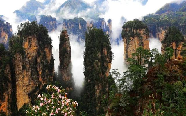 张家界国家森林公园畅游年卡来啦！还有10万现金等你来抽奖哦！