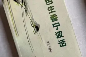 百年红帮故事 | 风从海上来——红帮名称的由来图片