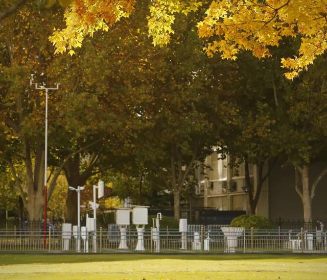 “隐藏款”北京秋景,就在中国气象局大院!