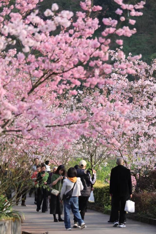 春节客流量超300万人次，营业额近3亿！四川泸州江阳消费市场“热辣滚烫”