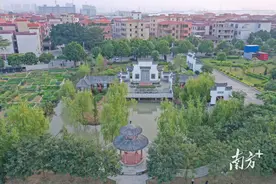 工业大市走活农村棋，佛山农村何以打通集体经济任督二脉？图片