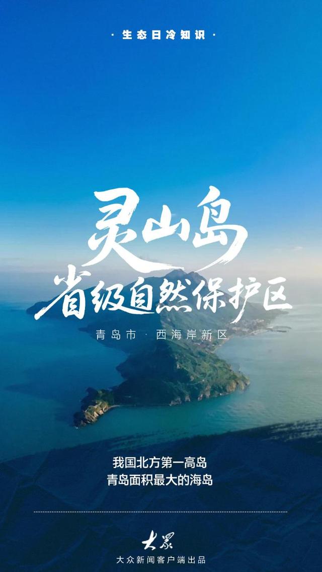 探访齐鲁大地的绿色“角落”：看看家门口的小惊喜