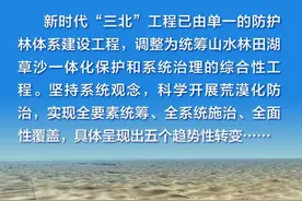 图说“三北”1年来 | 五个“变” 新时代的“三北”工程新在这几点图片