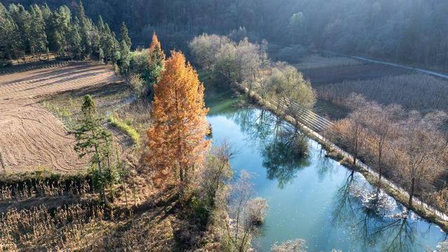 鹤峰县燕子镇：冬暖董家入画屏