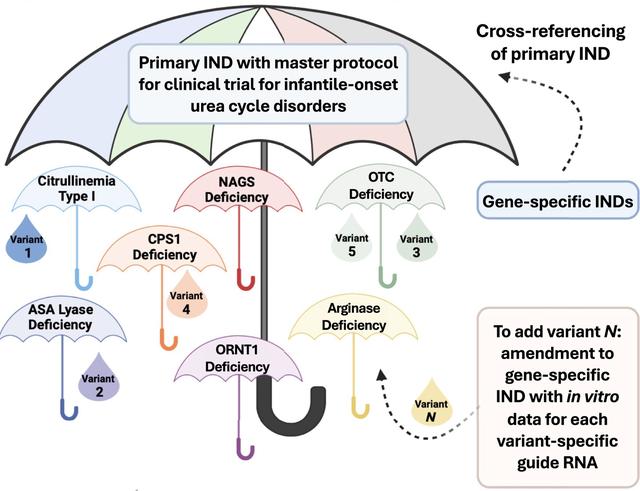 美国基因编辑疗法迈入“快车道”，为罕见病定制药研发开绿灯