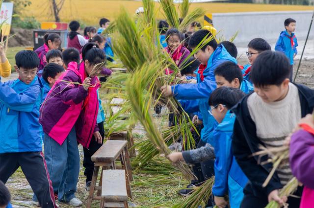 美哭！扬州稻田绝美秋景别错过～
