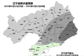 辽宁中到大雪、局部暴雪，又要来了！沈阳的情况是……图片