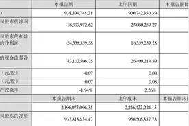 翔鹭钨业：2023年上半年亏损1831.00万元图片