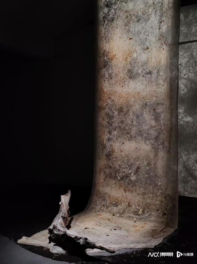 重思自然与人类的关系，展览“自然契约”登陆清华艺博