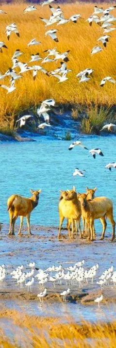 大雪了，你什么时候回盐城啊？