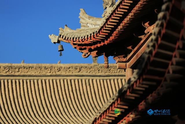 ​【祁连山下是我家】张掖：木塔沐晨光