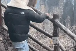 猴子抢包，遭游客“胖揍“！景区回应图片