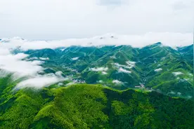浙江安吉：开辟“两山”转化新领域  发展“绿意盎然”新经济图片