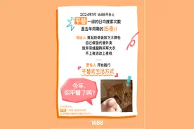 淘宝送10亿新春红包，“Z时代”爱上平替年货图片