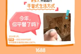 淘宝送10亿新春红包，“Z时代”爱上平替年货图片