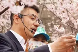 对话“樱花博士”聂超仁：在樱桃树下长大，研究樱花13年，培育出“国樱四楚”图片