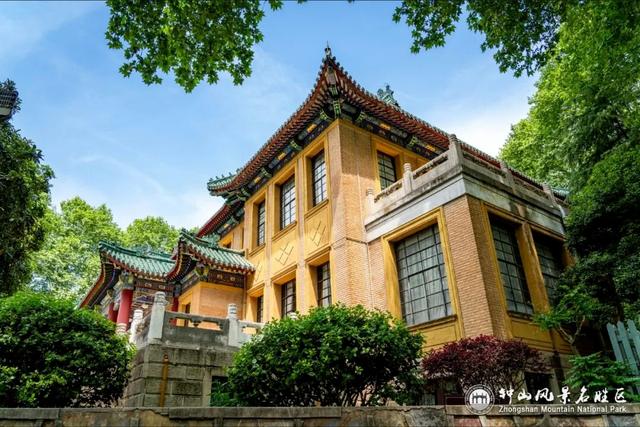 南京梧桐大道限定“皮肤”上线 ， 出片机位再升级