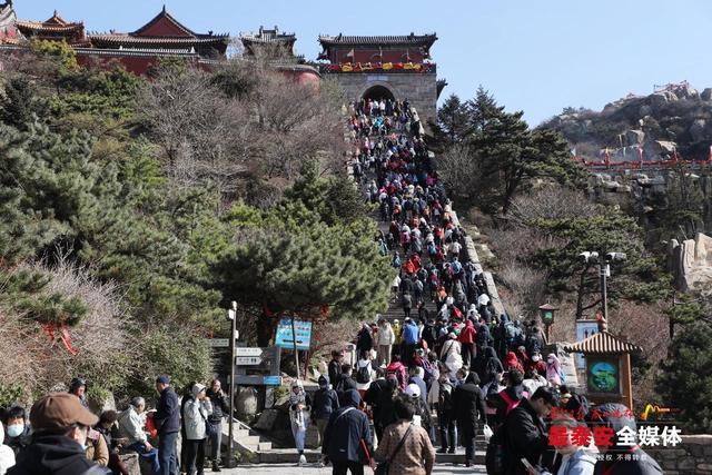 重阳登泰山 敬老暖意浓