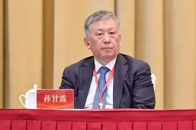 孙甘露当选上海市作协主席图片