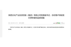 陕西文投总经理卢涛被调查 和曲江文旅被留置董事长有工作交集图片