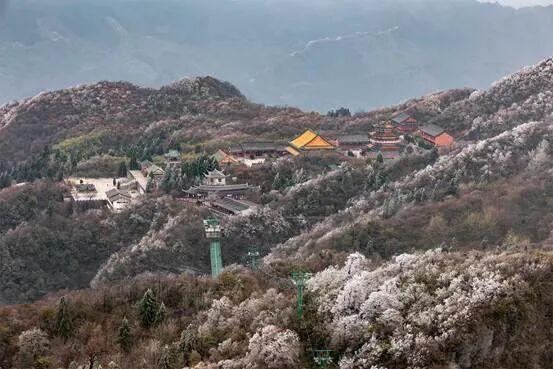 一眼心动！雾凇，山巅的“冰雪派对”