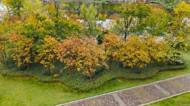 仪陇的秋天很美啊!