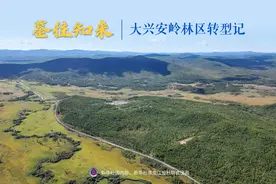 鉴往知来丨大兴安岭林区转型记图片