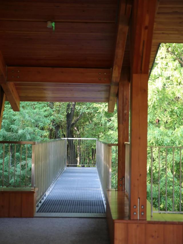 最佳季节！上海市中心也有人少景美骑行线