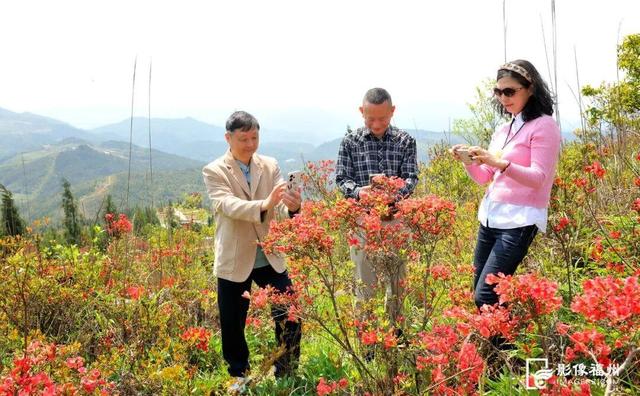 姹紫嫣红！福州进入春日高颜值时刻！