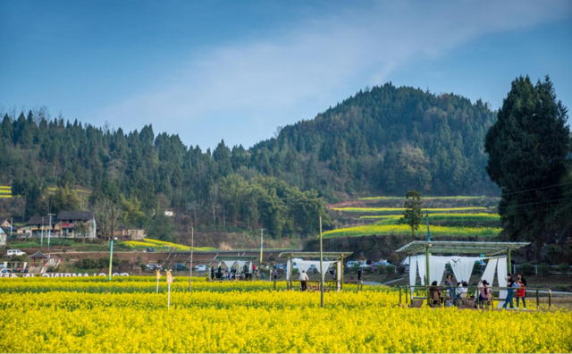 南充 “柔情嘉陵江・治愈乡村之旅”：赴一场山水与烟火的温柔之约