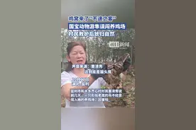 养鸡场来了“不速之客”，湖北监利一养殖户捡到国保动物后放归自然图片